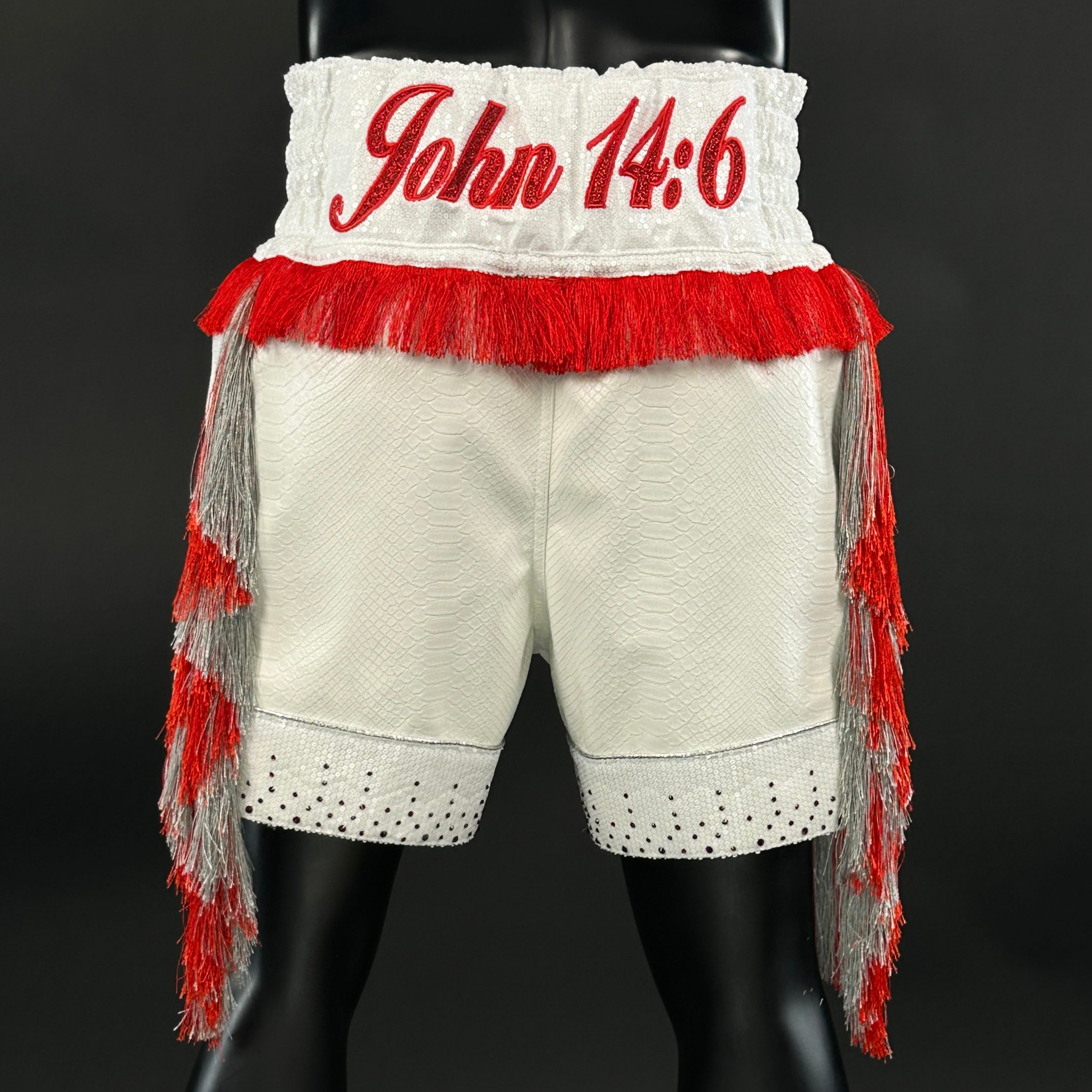Panel Long Tassels BX Dylan 186637 Custom Boxing Shorts & Trunks